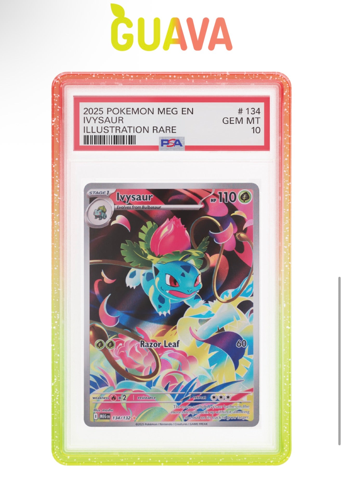 Limited Edition Graded Guard Case (PSA) Card not included