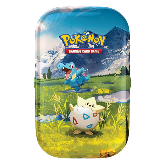 Ascended Heroes Tin(random art)